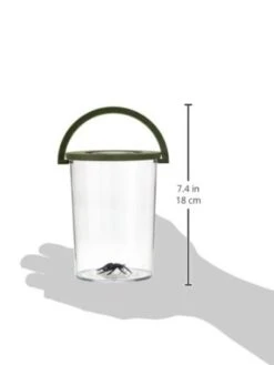 Scout 19380 Reuze Insectenbeker Met Vergrootglas Scouting Outdoor -Bruder Winkel insecten beker vergrootglas scout 19380 3