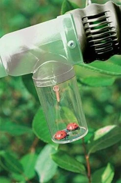 Scout – Insectenvanger 8 Scout – Insectenvanger -Bruder Winkel insectenvanger scout 19345 2